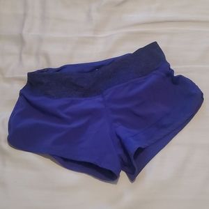 Rabbit Catch Me if You Can Shorts